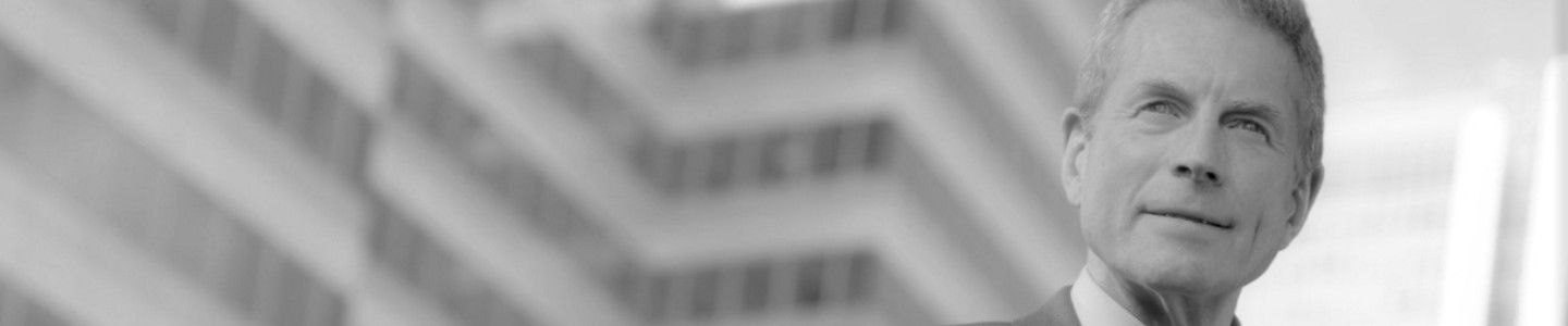 Real Estate Agent Banner